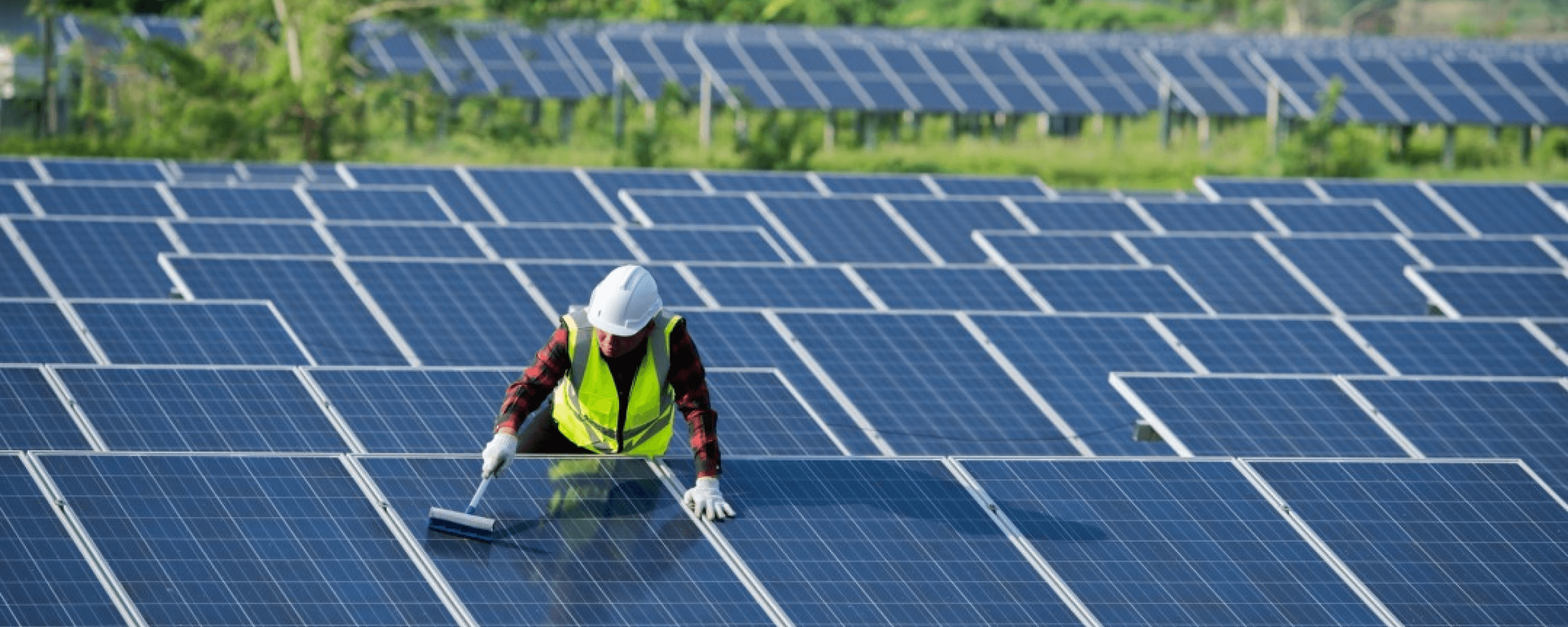 Finger on the Pulse: 4 Driving Factors Powering Asia's Renewable Energy Investment Landscape