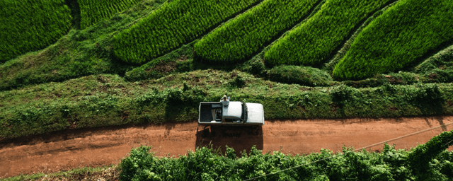 Finger on the Pulse: 3 Key Ingredients Needed to Ensure Food Stability in Asia