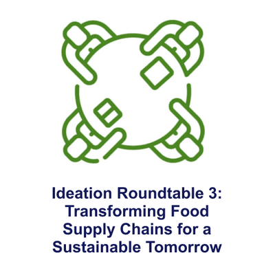 Ideation Roundtable